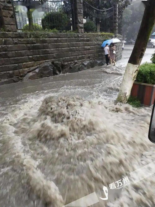 重庆暴雨 洪水冲进办公楼 员工落荒而逃 现场一片狼藉