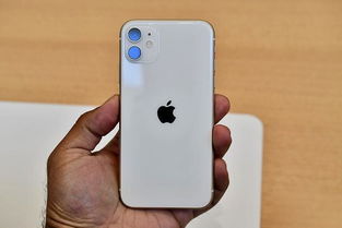 华为还是输了 iPhone 11销量第一 库克 降价果然好使