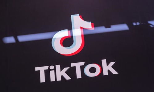 传字节跳动同意剥离TikTok美国业务 微软公司将接管