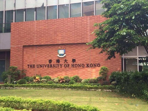 无缘清北文科第一名申请香港大学,意向专业是金融类