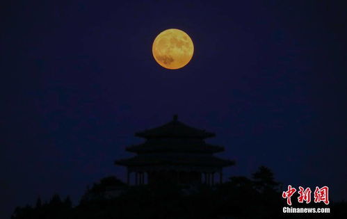 高清 各地夜空上演十五的月亮 十四圆