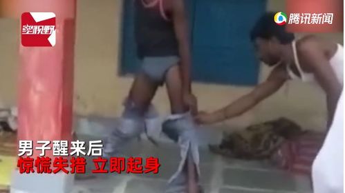 男子睡醒后发现有东西钻进裤筒 为保命一动不动抱柱站7小时