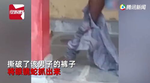 男子睡醒后发现有东西钻进裤筒 为保命一动不动抱柱站7小时