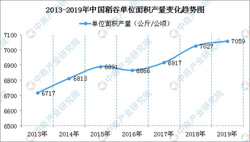 全球面临50年来最严重粮食危机 袁隆平 中国不会出现粮荒