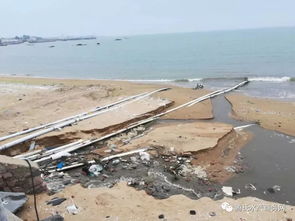 触目惊心 青岛一养殖场废水直排入海,药剂废瓶随流而下,四部门均称管不了