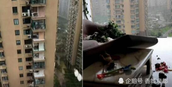 恐怖 浙江遭台风袭击,一女子去关窗户时 被强风吹落从11楼坠亡