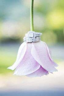 鲜花道具在婚纱摄影中的妙用 