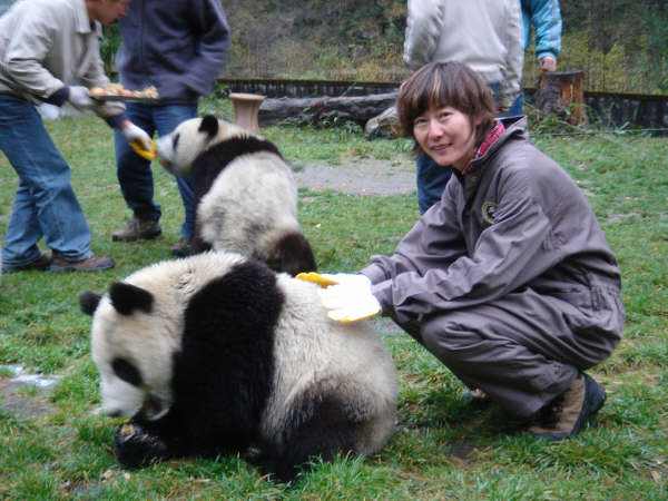 大熊猫宝宝和饲养员吵架全过程曝光 网友 熊猫宝宝太可爱了