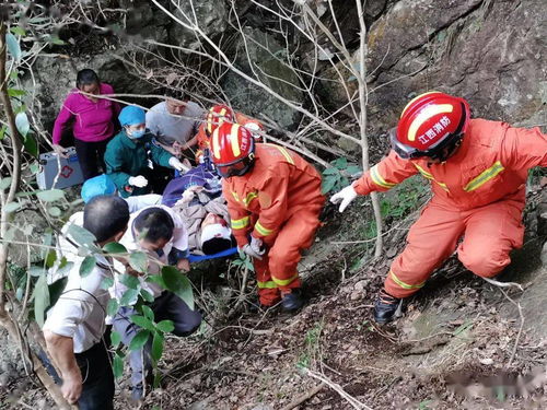 男子上山采药坠落悬崖 消防紧急救援