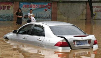 为什么下暴雨时候,有些车主宁可车子被淹也不愿把车开走