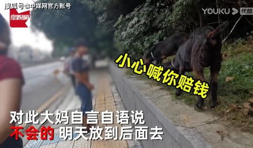 大妈闹市放羊啃食绿化带,路人提醒反被驳 反正草都要被割