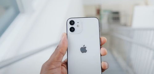 郭明錤 iPhone 12 镜头存在质量问题,非专业型号可能会首先上市