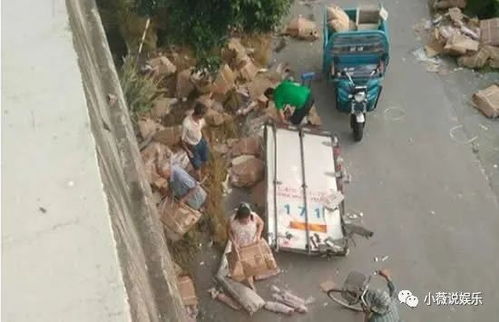 10吨猪肉翻车遭哄抢市委致歉 猪肉遭哄抢后续来了