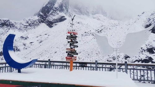丽江玉龙雪山8月下雪,游客穿短袖雪地拍照打卡(玉龙雪山8月份有雪吗)