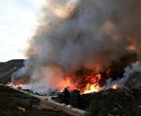 糟糕 南加州山火肆虐灭火工作进展不顺利 破坏持续扩大,近25万人撤离