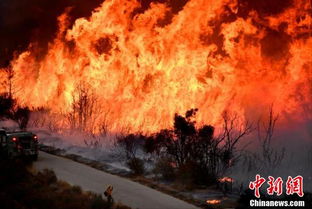 加州因山火进入紧急状态 飞机 贴 树梢洒阻燃剂 