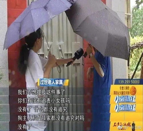 大雨 暴雨 大暴雨,这个周末不要出门了 张家口一地征地启动公告,断交 通车 大事全在这了