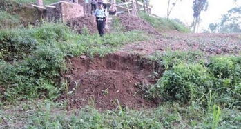 村民报警举报怪异土堆 民警现场挖出楠木 组图 
