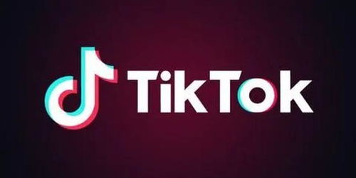 TikTok计划最早下周起诉特朗普政府