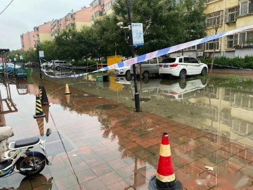 事发聊城柳泉花园 女孩积水中触电倒地 雨后这些一定注意 附最新天气预报 又一场大雨来了