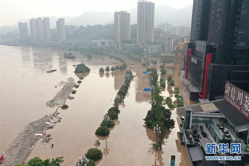 寸滩水文站洪水位突破191.41米 长江重庆段迎最大洪峰 图片频道 