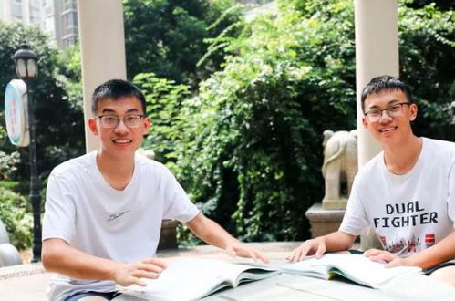 广西一对双胞胎兄弟均被清华大学录取,2人查分数时发现神奇一幕(双胞胎集团广西)