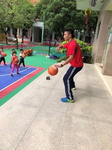 运动 健康 快乐 商业幼儿园篮球训练营