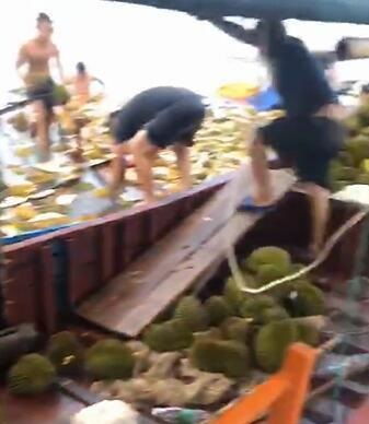 广西一货船翻榴莲被抢 363人食物中毒