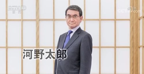 菅义伟放弃参加自民党总裁选举 谁将成为日本第100任首相 