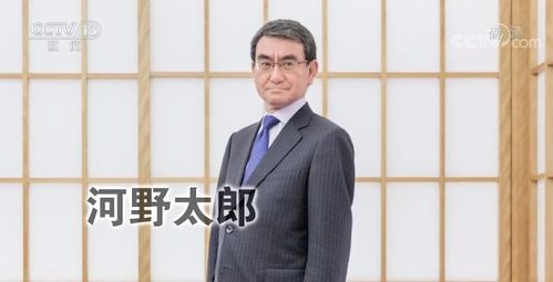 日本现任内阁官房长官菅义伟决定竞选自民党总裁(日本副首相和内阁官房长官)