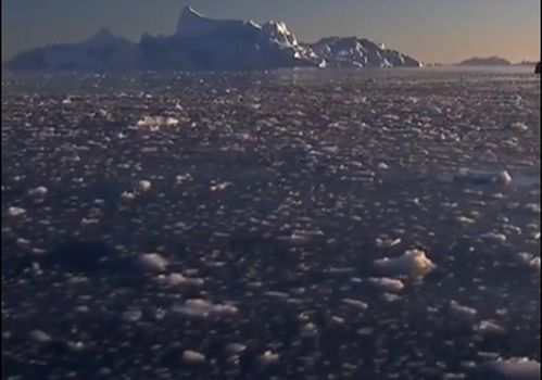格陵兰融冰量破纪录 2019年,地球暖化越来越严重(格陵兰融冰量破纪录)