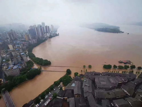 洪峰过境重庆淹没了全国人民 更多的照片曝光却逗乐了网友(重庆洪峰过境时间2021)