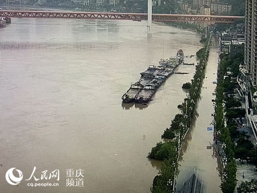 洪峰过境重庆南滨路被淹 禁止社会车辆通行 