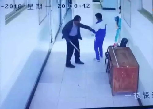 徐州三十一中学教师被停职 32名学生被老师卢殴打(徐州三十一中学区范围图)
