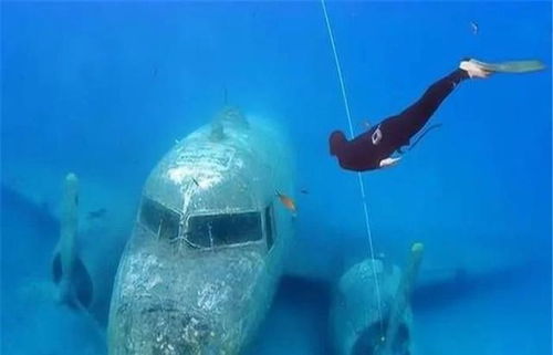 海底发现神秘飞机碎片,在靠近后,潜水员发现里面还有 人