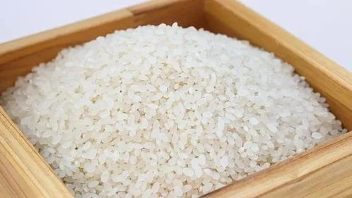 淘米细节不注意,当心营养流失过多 这样吃米饭,能控糖 抗癌,助长寿 大米 