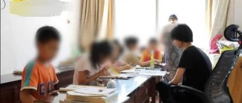河南13岁女孩从未接受义务教育却任教私塾最终被查封