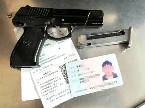 1039新闻早班车 北京这里现已全面禁停 男子欲携 枪 进京被安检查获 小区11楼掉下三把菜刀
