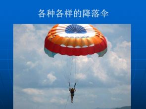31岁跳伞运动员为增加恐怖元素 用信号枪点燃降落伞(跳伞运动员教案)