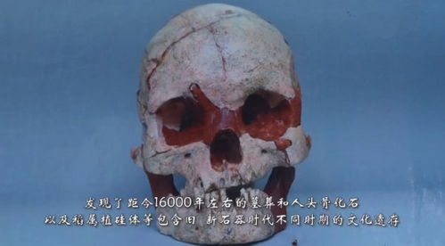 广西发现16000年前的人头骨化石,会不会将我们的5000年文明提前