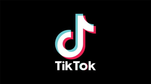 TikTok 正式起诉美国特朗普政府 别无选择