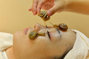 日本首推新颖美容疗法 活蜗牛可清洁面部毛孔 