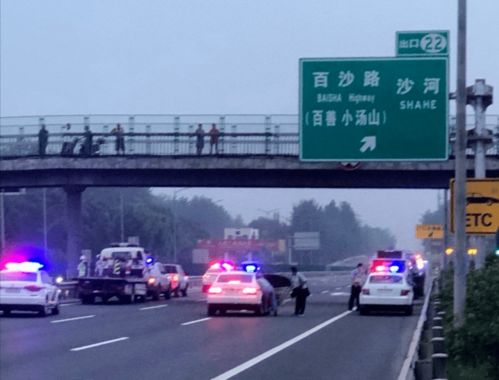71岁老人横穿京藏高速被撞身亡事件,结果出来了