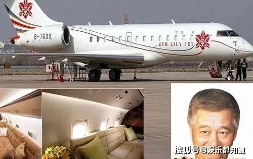 私人飞机爆出天价保养费,赵本山当年买下它有错吗 其女儿球球吐槽养不起了