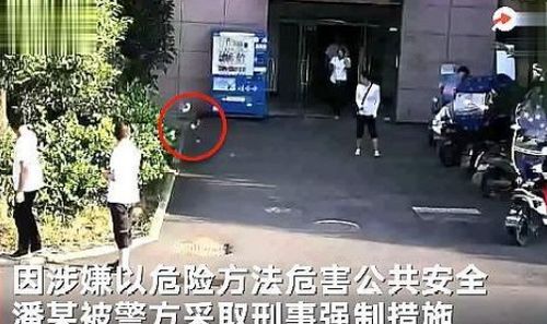 女子从13楼扔电饭锅被采取刑事强制措施,网友 高空抛物害人害己