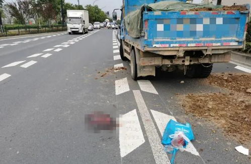 杭州305省道实验中学路段一女子横穿马路被一辆驶来的小型货车当场撞飞 
