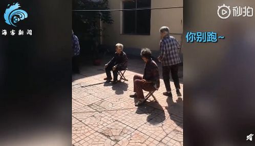 白发奶奶步履蹒跚玩丢手绢 在笑声中 奔跑 精气十足