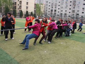 朝阳区枣营小学召开 做阳光快乐健康的少年 体育节活动 