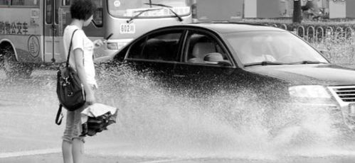 雨天溅起积水淋湿路人被罚200 开车在外请文明驾驶尊重他人