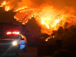 Firefighters wrestle to control wildfire